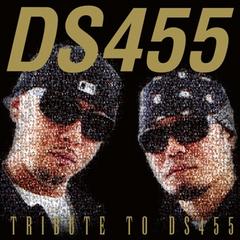 TRIBUTE TO DS455 / V.A/